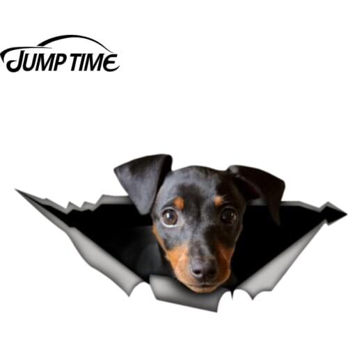 Jump Time 13cm x 6.2cm pincher sticker 3D Pet Graphic Vinyl Decal Car Window Laptop Bumper Animal Car Stickers
