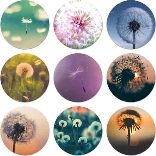 Dandelion Flower Flying Icons Pins Badge Decoration Brooches Metal Badges For Clothes Backpack Decoration 58mm