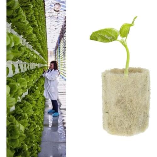 50x Garden Flower Starter Plugs Cubes Rock Wool Grow Media Nursery Block