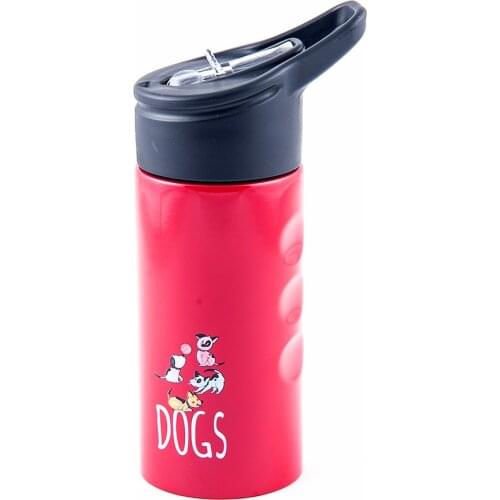 BiggDesign Stainless Steel Thermoses