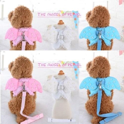 TEAEGG Harnesses