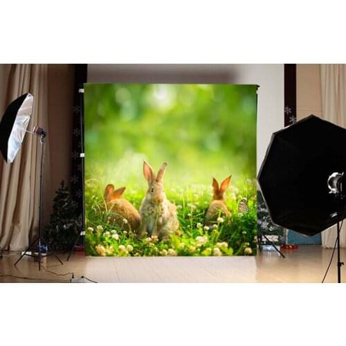 Art Fabric Photo Studio Nature Senior Background Easter Rabbit Backdrop For Indoor Newborn Children Bokeh Green Photo Background