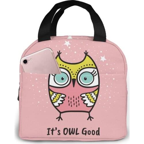 Its Owl Good Cooler Bag Portable Zipper Thermal Lunch Bag Convenient Lunch Box Tote Food Bag