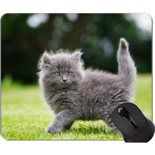 Gaming Mouse Pad Custom,Fluffy Kitten Defocus Cat Non-Slip Rubber Base Mousepad
