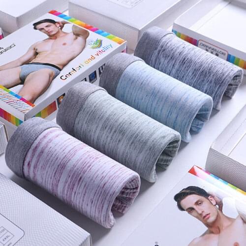 Plus Size New 2020 Boxer Hombre 2/4pcs Men Underwear Comfort Cotton Boxers Men Middle Waist Solid Color Ventilate Boxers 4XL 5XL