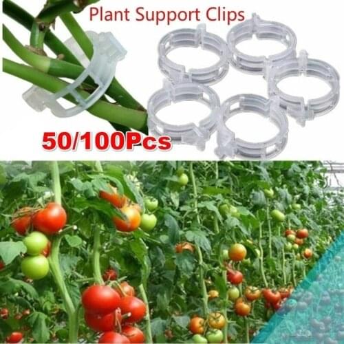 Garden Plants Bundled Buckle Grape Vines Vegetable Strapping Clips Greenhouse Vegetables Stems Fixing Ring Fasteners tool