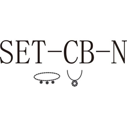 925 Sterling Silver Ladies High-End Classic Thick Chain Bracelet Love Necklace Set With Original Logo