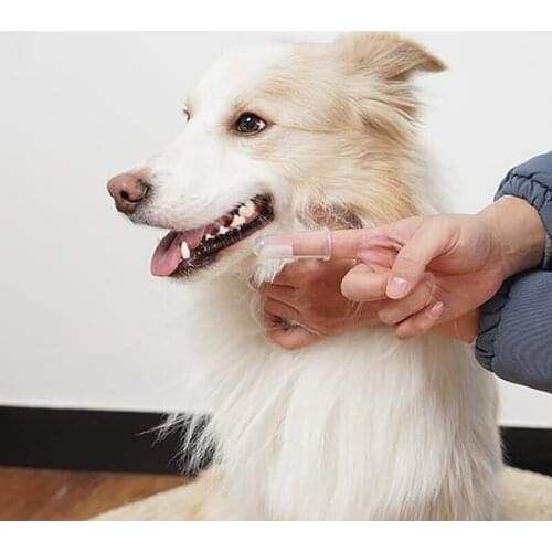 6Pcs Soft Finger Toothbrush For Pet Dog，Small Dog Tooth Brush& BPA Free Baby ToothBrush Dog Teeth Cleaning Silicone Tooth Brush