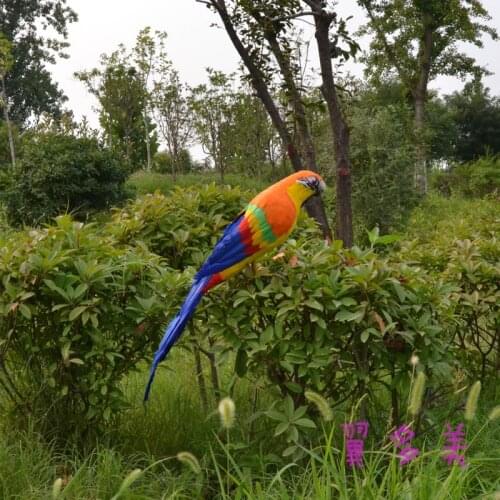 Colourful feathers Macaw parrot large 60cm parrot toy model home decoration Christmas gift h1116