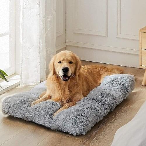 YTENGZ Dog Beds