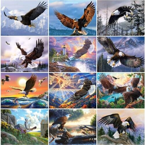 EverShine DIY Diamond Embroidery Animal 5D Diamond Painting Kits Eagle Cross Stitch Beaded Embroidery Rhinestones Art Wall Decor