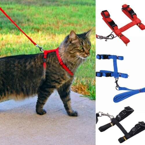 Pet Rabbit Walking Training Hand Grip Straps Harness Leash Traction Belt