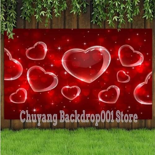 Early 2000s Backdrop Red Heart Girls Happy Birthday Party Photography Background For Photo Studio Banner Decorations
