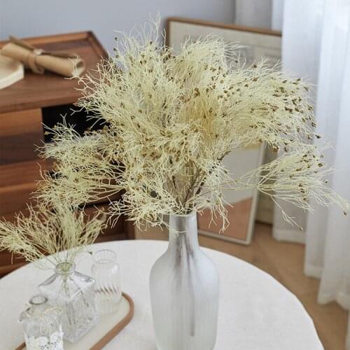 Dried Natural Flowers Decoration Plush Grass Bouquest For Home Party Wedding Decor Real Floral Preserved Aetificial Flowers