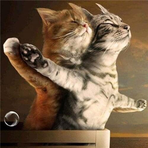 5D DIY Diamond Painting Cat couple princess hug Animal Crystal Embroidery Cross Stitch Christmas Gifts Wedding decoration
