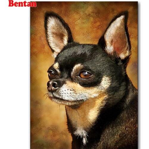 Diamant painting DIY 5D diamond round Diamond Painting Cross Stitch chihuahua dog Kits Diamonds Embroidery Round Square Drill