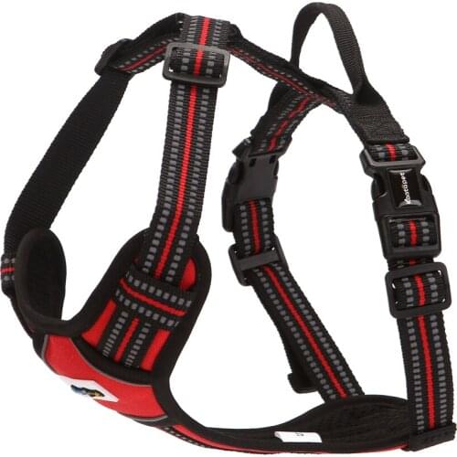 Kaatapet Adjustable Dog Accessories Sublimation Dog Harness Set Custom Personalized Pet Supplies 2021 Dog Chest Harness Collar