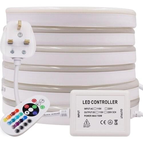 RGB Neon Light 220V UK Plug SMD 2835 Flexible LED Neon Sign LED Strip Light With IR Remote Festival Decoration Neon Lights