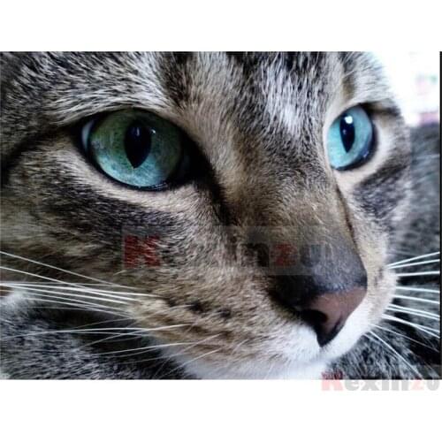 Kexinzu Full 5D DIY Square/Round Drill Diamond Painting "Animal Cat" 3d Diamond Embroidery Cross Stitch Decor Gift Ke054