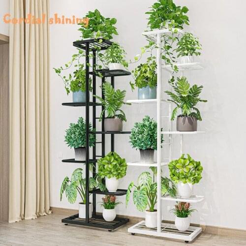 Cordial Shining Plant Racks