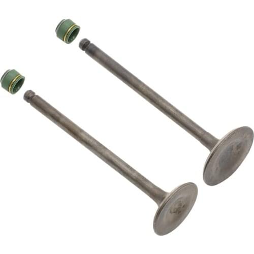 2PCS For Suzuki GN125 GZ125 GS125 DR125 Valves Intake Exhaust Valves Engine Cylinder Valves