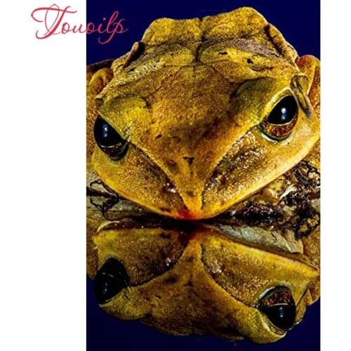 TOUOILP 100% 5d Daimond Painting"Animal frog"3D 5d Diamond Painting Round/Square Rhinestones Diamant Painting Embroidery Animals