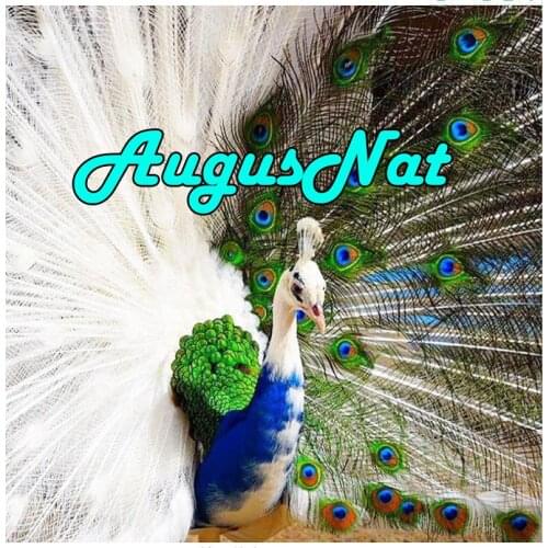 5d diamond painting peacock full round daimond embroidery bird daimand mosaic art animals diamant canvas painting pearl poster