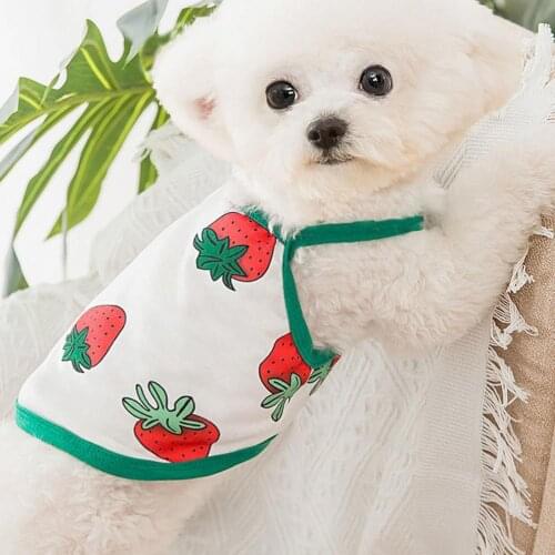 Dog T-shirt Cute Printing Sweat-absorbent Cotton Puppy Two-legged Vest for Summer одежда для собак