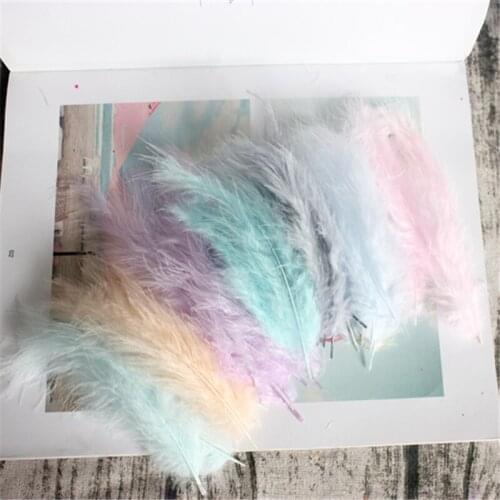 50pcs Turkey Feathers 4-6 Inches 10-15cm Chicken Plumes Turkey Marabou Feathers for Carnival Halloween Christmas DIY Craft Decor