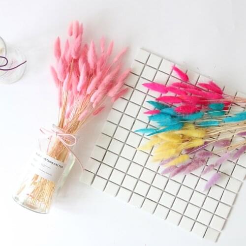 20pcs natural dried flowers lagurus white artificial flowers colorful fake rabbit tail grass ovatus foxtail bouquet long bunches