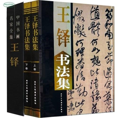 Wang Shuo Calligraphy Collection book Beginners Adult College Students Getting Started Basic Linyi Practice Skills books