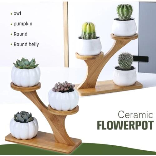 Creative Succulent Plant Shelves Flower Display Stand Bamboo Frame Ceramic Flowerpot Plant Tray