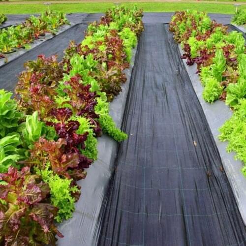 Ground Cover PP Weeding Cloth Eed Control Fabric Landscape Block Heavy Duty Gardening Black Sheet