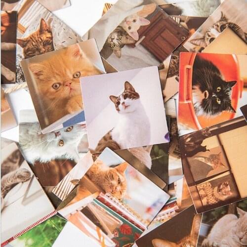 46pcs Kawaii Mini Boxed Stickers Cat Animal Decoration Diary Scrapbook Multifunctional Student Stationery Adhesive