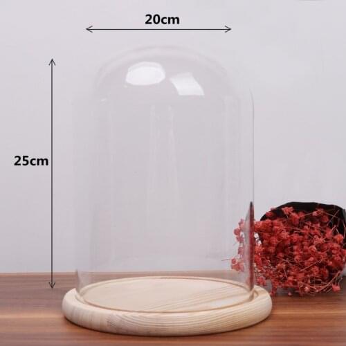 20*25cm Big Size Log Base Glass Dome Vase Home Decoration Creative Cover Birthday Wedding DIY Friend Favor Gift