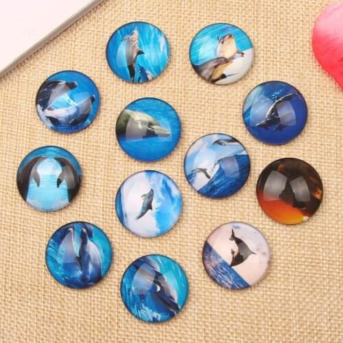 20pcs dolphine photo Jewelry Pendant Cabochon 25mm flatback round dome glass cameo for crafts