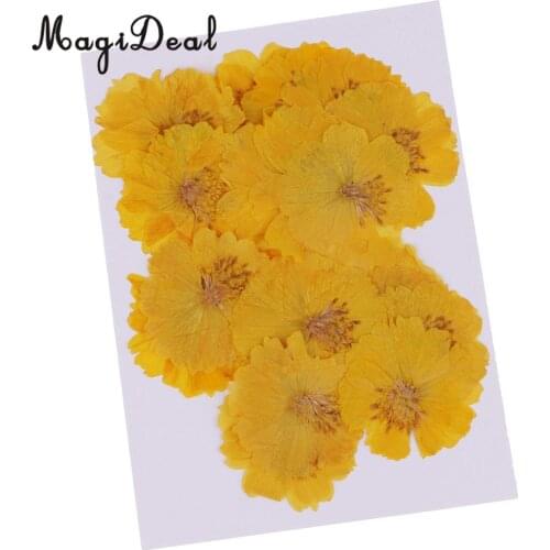 20pcs Natural Dried Flower Yellow Coreopsis for DIY Phone Case Decoration Jewelry Making Crafts DIY Necklace Pendant Charms