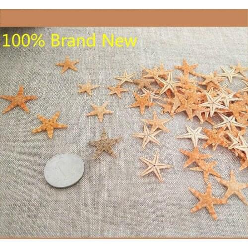 25pcs 3-5cm Mini Starfish Craft Decoration Natural crafts Sea Stars DIY Beach Cottage Wedding Decor hot shells