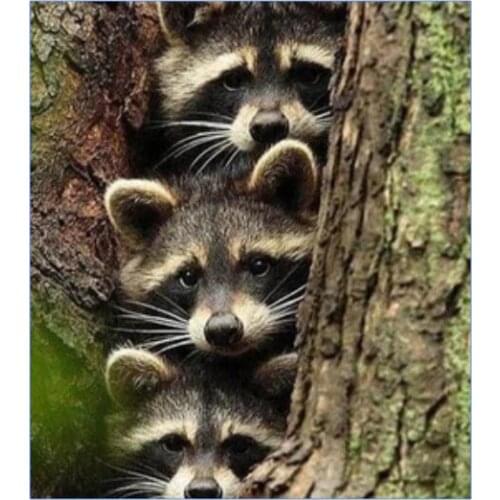 Wasbeertjes diamond painting