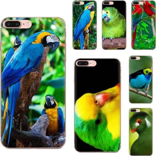 Animal Bird Parrot Cockatoos Tpu Phone Case For Xiaomi Mi note 9 10 mi10 mi9 mi8 pro lite SE Mi A1 A2 A3 CC9 CC9E 9T