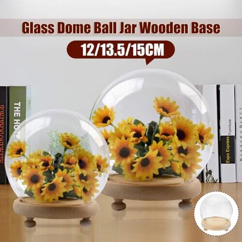 Glass Ball Display Dome Cover Bell Shaped Immortal Flower Rose Preservation Vase Wood Base Home Decoration