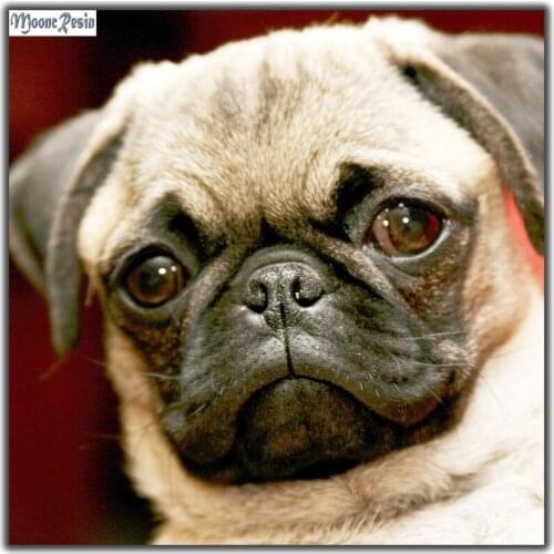 MOONCRESIN Diy Diamond Embroidery Brown Dogs Animals 5D Diamond Mosaic Diamond Needlework Painting Cross Stitch Decoration Gifts