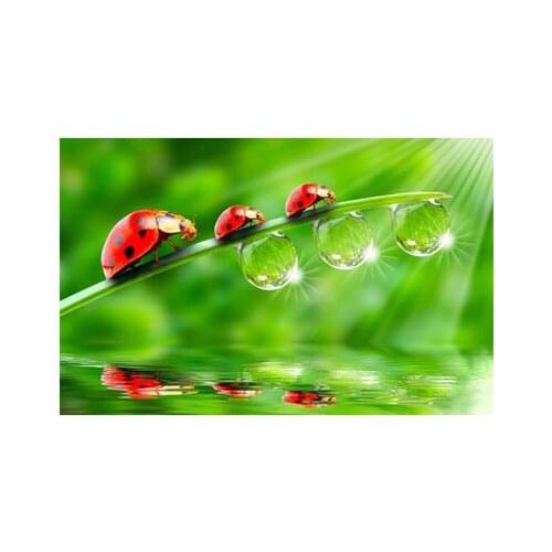 DIY Diamond Embroidery Butterfly Girl 5D Diamond Painting Cross Stitch Mosaic Pattern Full Square Rhinestone Home Decor