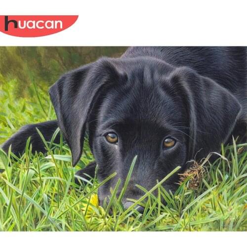 HUACAN Full Square/round Diamond Painting Dog Black Home Decor Mosaic Embroidery Grass Animal Cross Stitch Diamond Art