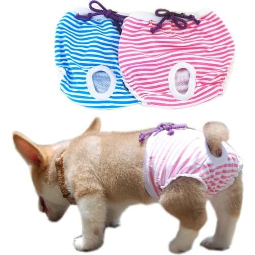 Pet Physiological Pant Washable Female Dog Cotton Striped Dog Physiological Pants Sanitary Pants Pet Supplies