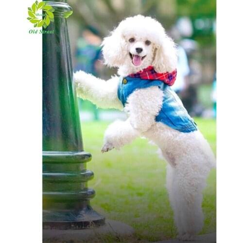 Old Street Home Dog Diamond Painting 5D Animal Full Drill Square Diamond Art Embroidery Cross Stitch Home Decoration