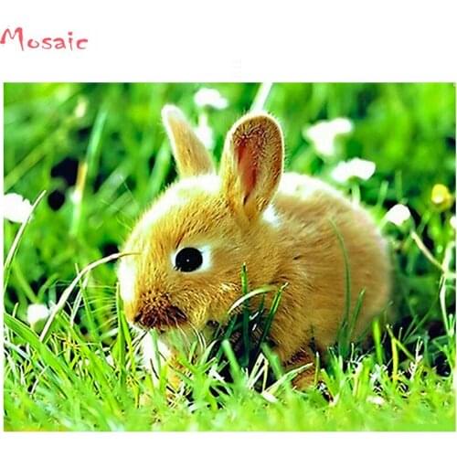 5D DIY Diamond Painting rabbit,Diamond Embroidery animal,Handmade Cross Stitch,Mosaic,stickers,Wall Art Pictures