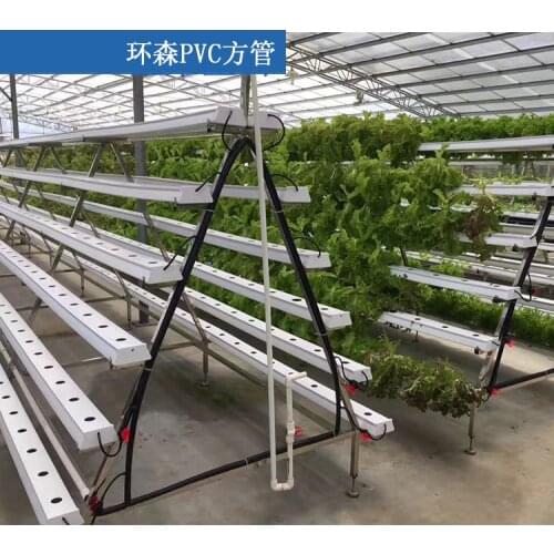 Hydroponic System Of Pvc Square Tube Planting