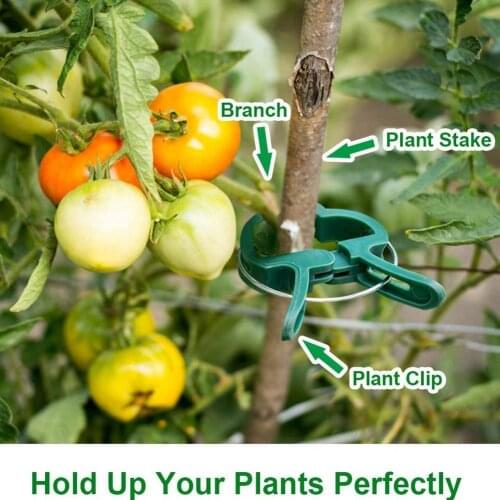 10Pcs Fastener Greenhouse Bracket Pole Fixed Clamp Seedling Flower S Plants Stem Grafting L Stakes Support Connector Clip U0I4