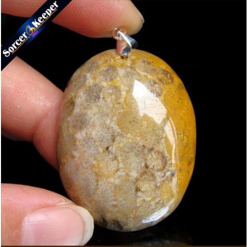 New Hot Selling Natural Stone Crinoid Fossil Necklace Jewelry Chrysanthemum Stone Healing Reiki Pendant For Men Women HS353